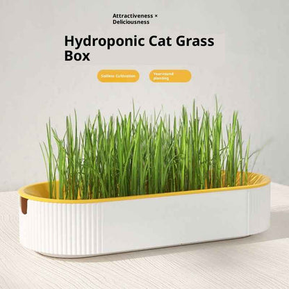 Pet Supplies Cat Snacks Catnip Planting Hydroponic Box - Needora
