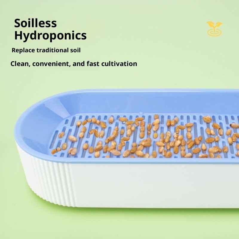 Pet Supplies Cat Snacks Catnip Planting Hydroponic Box - Needora