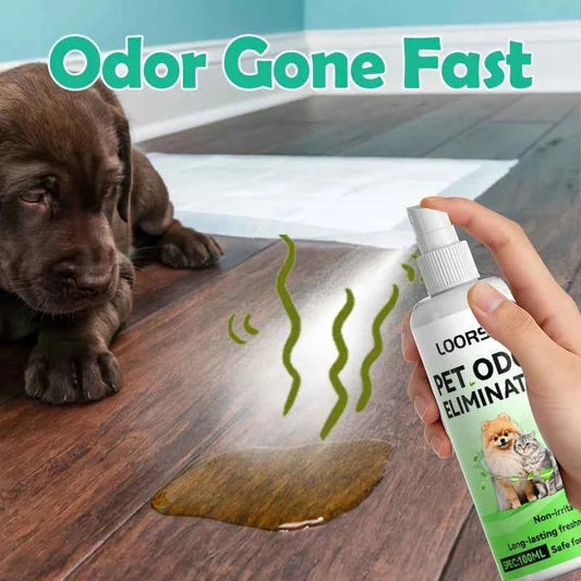 Pet Urine Odor Remover Spray-Heavy-Duty Urine Eliminator,Safe for Carpets,Floors & Furniture,Suitable for Dogs & Cats - Needora