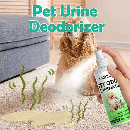 Pet Urine Odor Remover Spray-Heavy-Duty Urine Eliminator,Safe for Carpets,Floors & Furniture,Suitable for Dogs & Cats - Needora