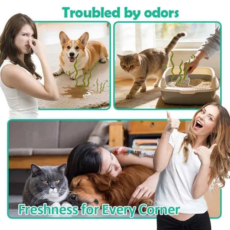 Pet Urine Odor Remover Spray-Heavy-Duty Urine Eliminator,Safe for Carpets,Floors & Furniture,Suitable for Dogs & Cats - Needora