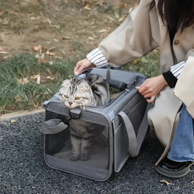 Portable Expandable Pet Travel Bag Soft-Sided Transparent Breathable Lightweight Handheld or Crossbody Outdoor Pet Bag Stylish - Needora