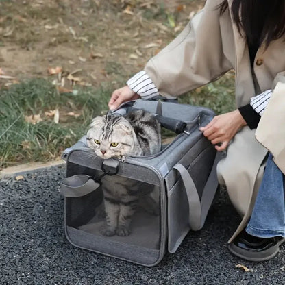 Portable Expandable Pet Travel Bag Soft-Sided Transparent Breathable Lightweight Handheld or Crossbody Outdoor Pet Bag Stylish - Needora