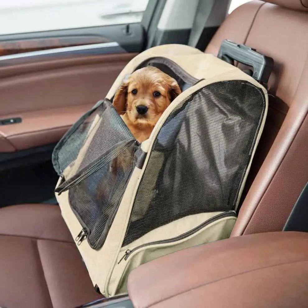 Portable Foldable Backpack For Dogs Travel Bag With Zipper Closure For Carrying Your Furry Friend On-The-Go! - Needora
