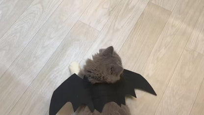 Bat Wing Cat & Dog Halloween Costume