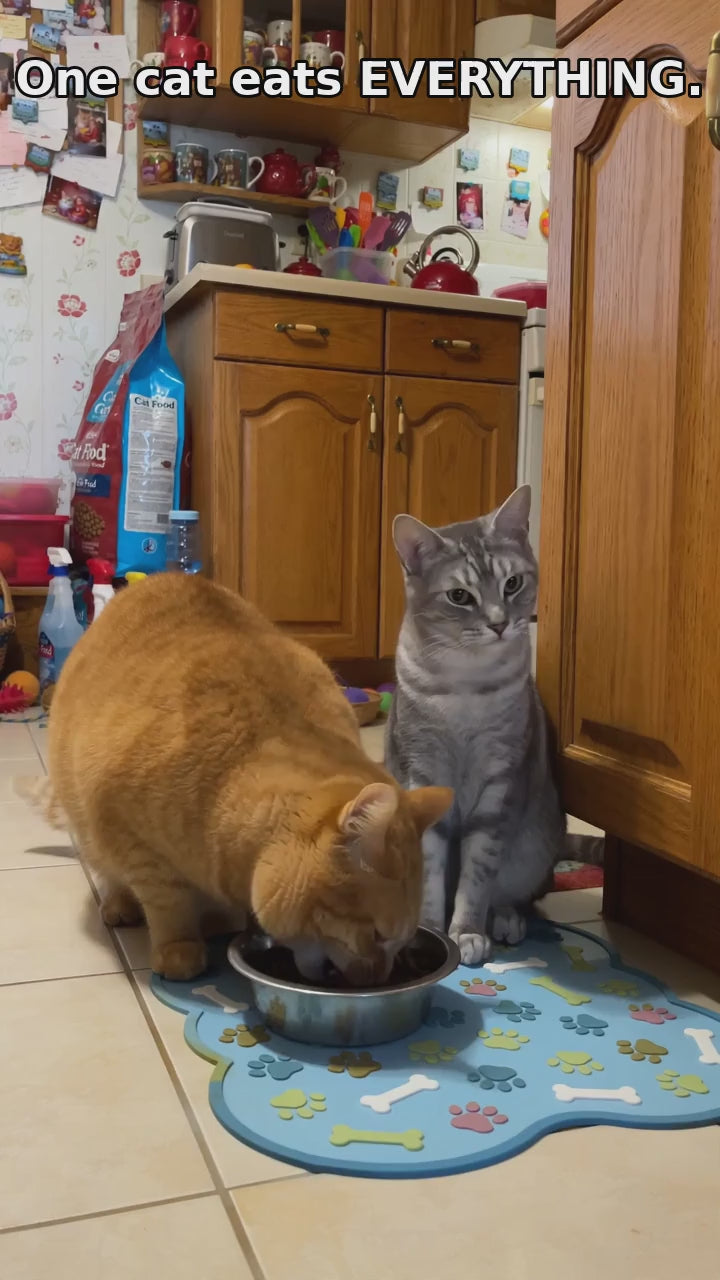 Smart RFID Microchip Pet Feeder — product video
