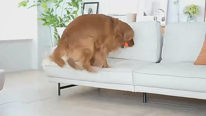 MART Interactive Smart Pet Ball – Remote Control, Flashing, Rolling & Jumping