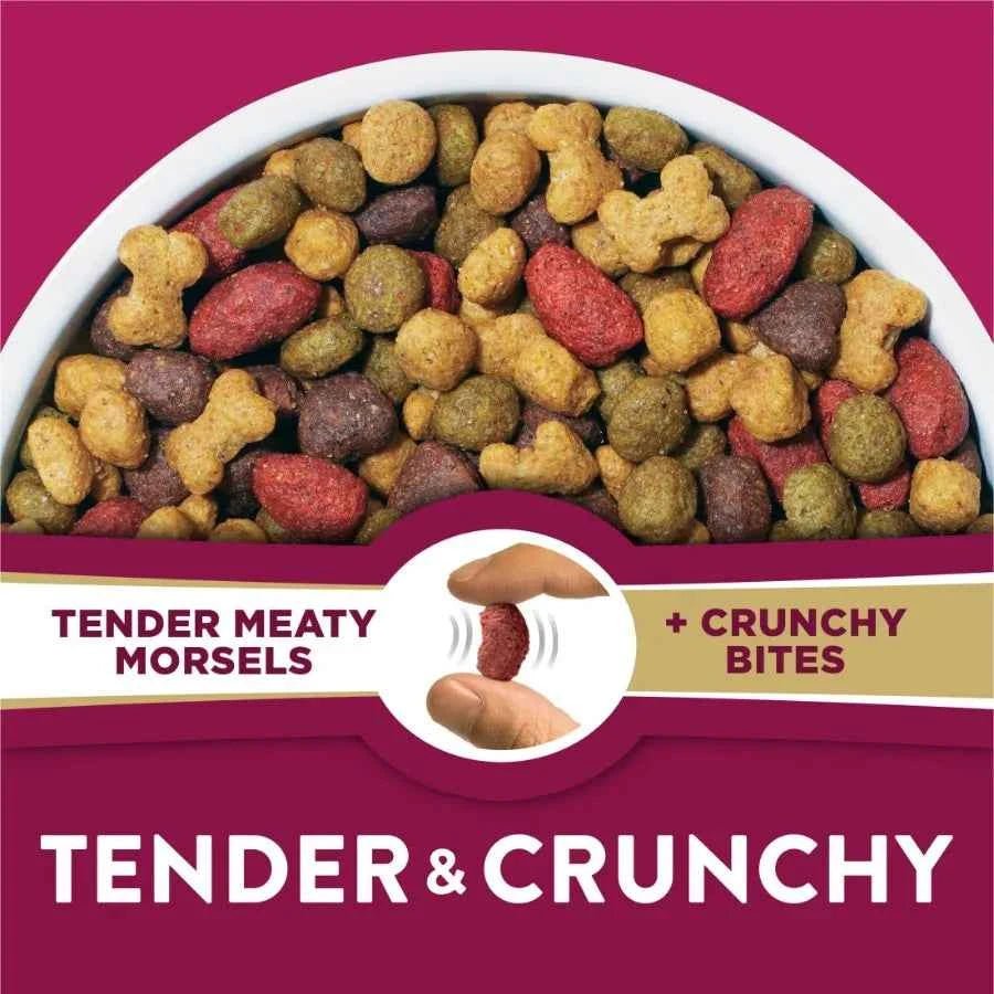 Purina Tender & Crunchy Adult Dry Dog Food with Real Lamb & Turkey Flavor, 30 lb Bag - Needora
