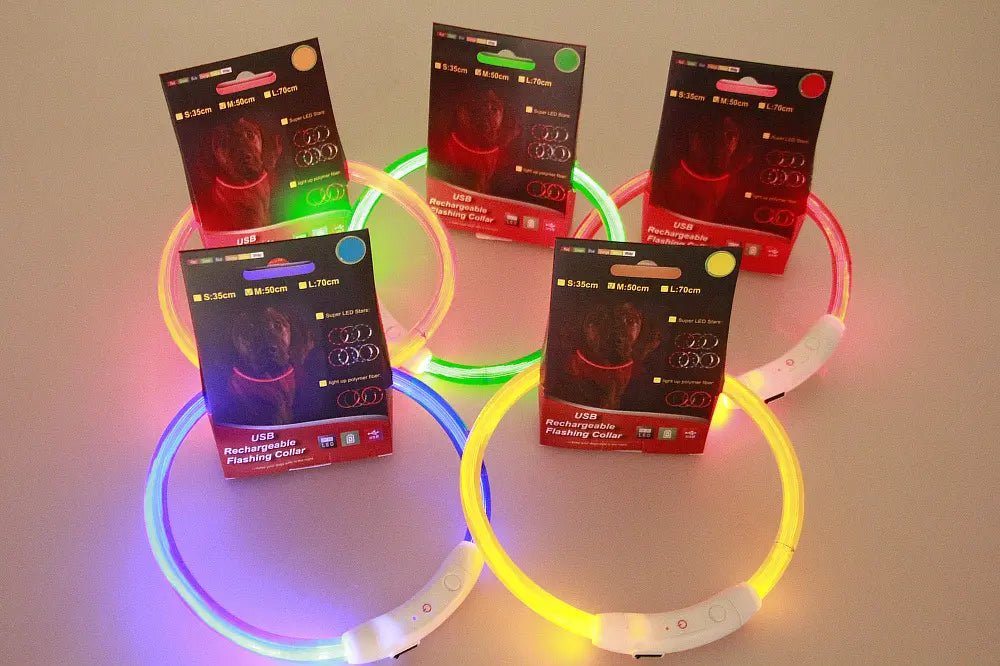 Rechargeable LED Dog Collar Night Walk – alternate angle view