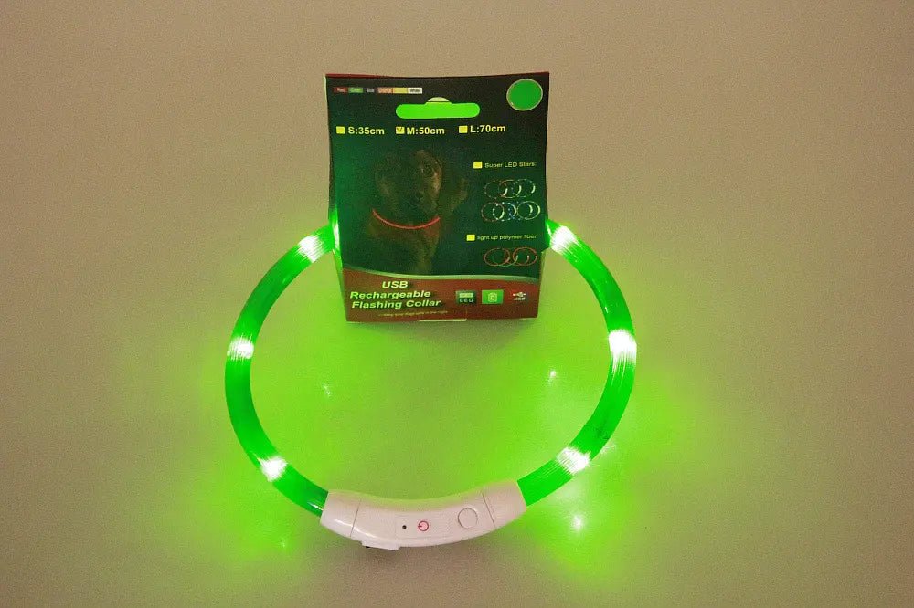 Rechargeable LED Dog Collar Night Walk – texture and finish detail