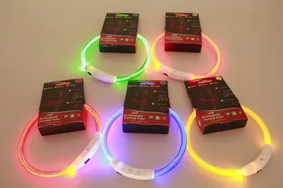 Rechargeable LED Dog Collar Night Walk – size reference view