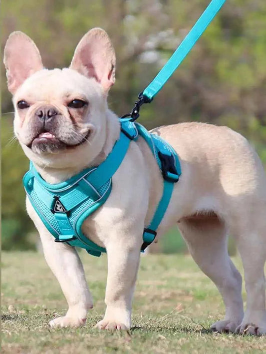 Reflective Pet Harness And Leash Set, Suitable For Dogs & Cats, Escape-Proof Adjustable Small Dog Chest Strap With Soft Mesh - Needora