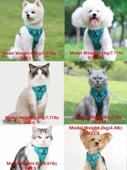Reflective Pet Harness And Leash Set, Suitable For Dogs & Cats, Escape-Proof Adjustable Small Dog Chest Strap With Soft Mesh - Needora