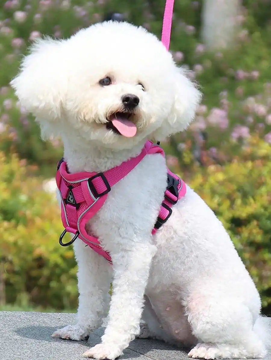 Reflective Pet Harness And Leash Set, Suitable For Dogs & Cats, Escape-Proof Adjustable Small Dog Chest Strap With Soft Mesh - Needora