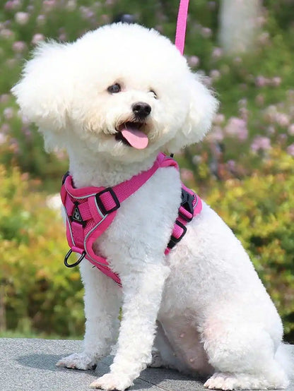 Reflective Pet Harness And Leash Set, Suitable For Dogs & Cats, Escape-Proof Adjustable Small Dog Chest Strap With Soft Mesh - Needora