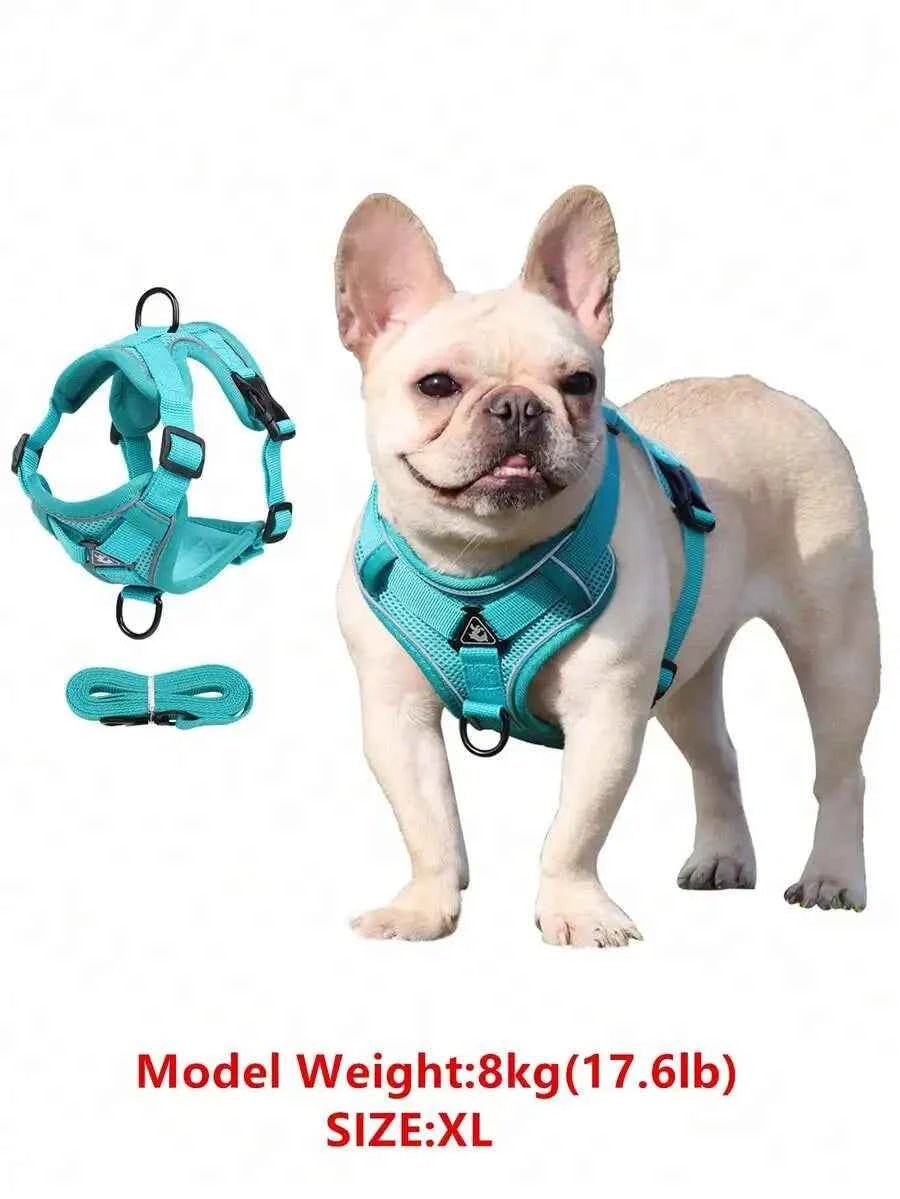 Reflective Pet Harness And Leash Set, Suitable For Dogs & Cats, Escape-Proof Adjustable Small Dog Chest Strap With Soft Mesh - Needora