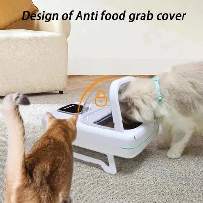RFID Pet Feeder Intelligent Chip Automatic Sensing Feeder Cats Dogs Food Dispenser Feeders Timed Quantified Dry Wet Pets Bowl - Needora