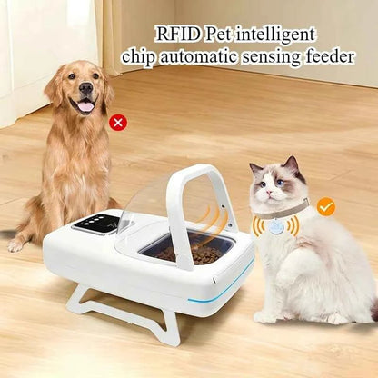 RFID Pet Feeder Intelligent Chip Automatic Sensing Feeder Cats Dogs Food Dispenser Feeders Timed Quantified Dry Wet Pets Bowl - Needora