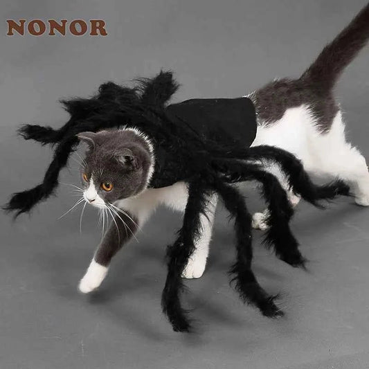 Spider Costume for Dogs Cats – main product view