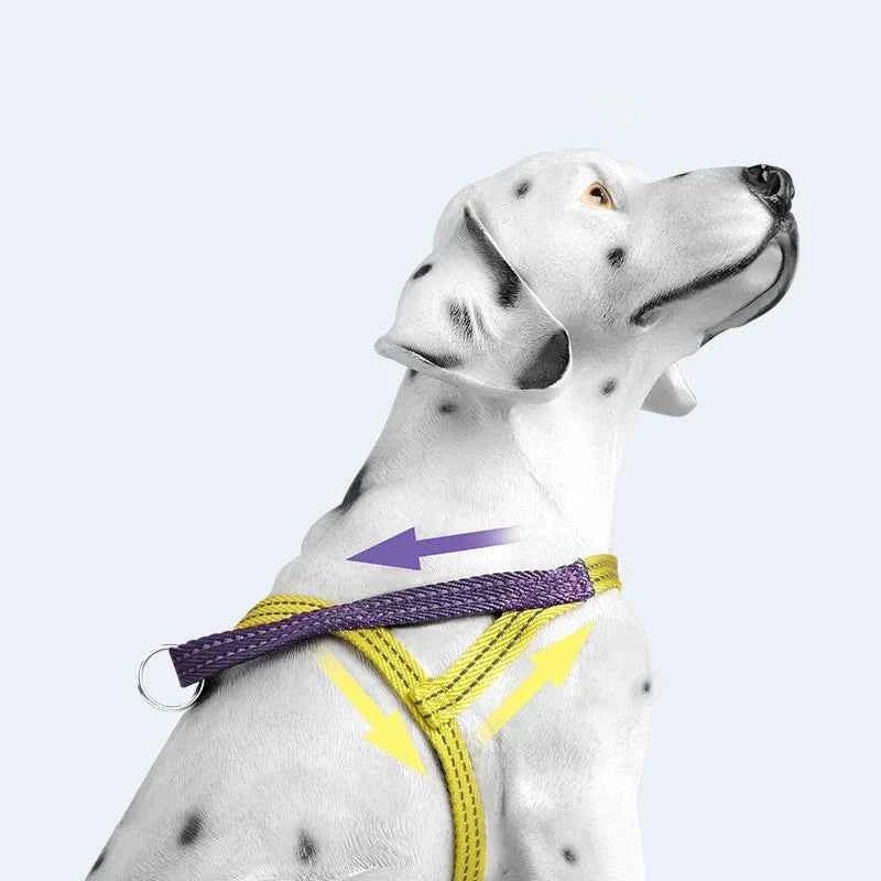 Summer Lightweight Escape-Proof Dog Harness Durable Adjustable Reflective No-pull Pet Vest for Medium Large Dogs Arnés De Perros - Needora