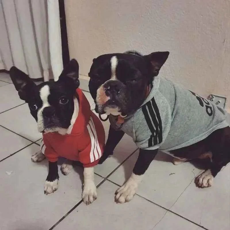 Winter Dog Clothes Adidog Sport Hoodies Sweatshirts Warm Coat Clothing for Small Medium Large Dogs Big Dogs Cat Pets Puppy Outfi - Needora