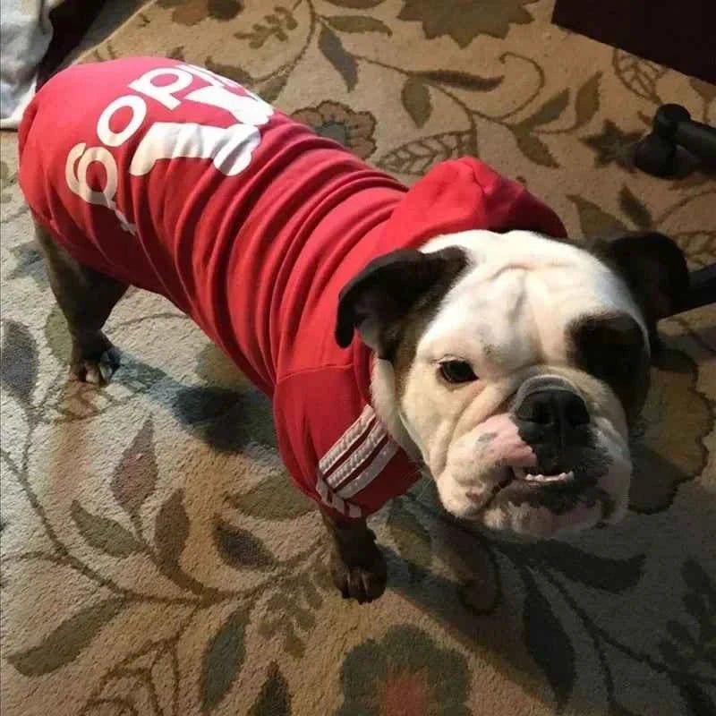 Winter Dog Clothes Adidog Sport Hoodies Sweatshirts Warm Coat Clothing for Small Medium Large Dogs Big Dogs Cat Pets Puppy Outfi - Needora